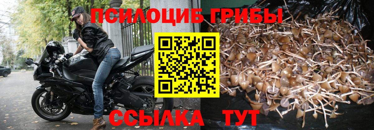 Алапаевск  Галлюциногенные грибы MAGIC MUSHROOMS  Вход с VPN 